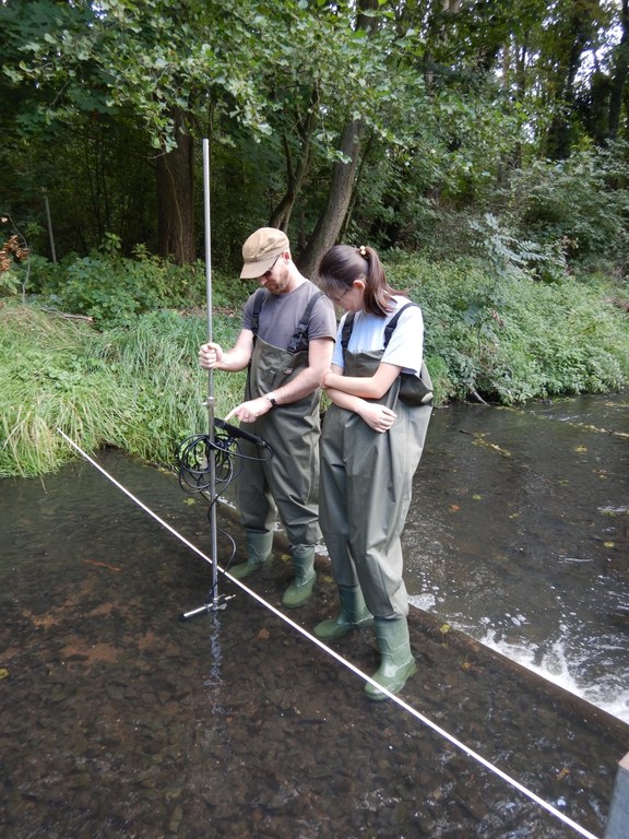 Field studies 2018