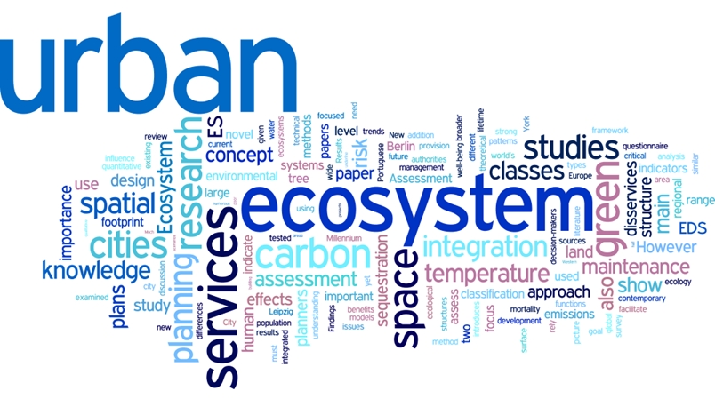 wordcloud.jpg