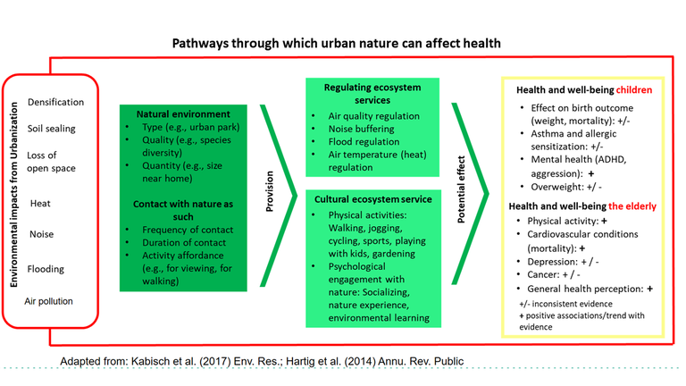 Foto_4_UrbanNaturHealth.png