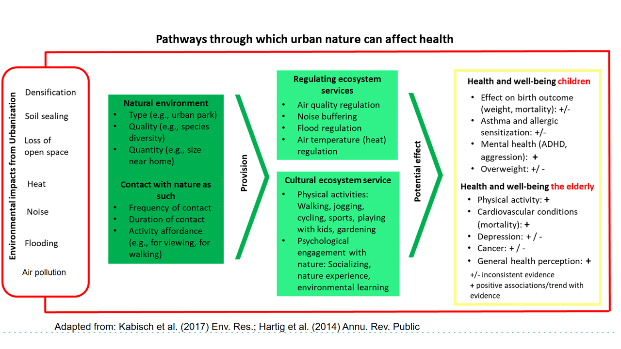 greenequityhealth flowchart