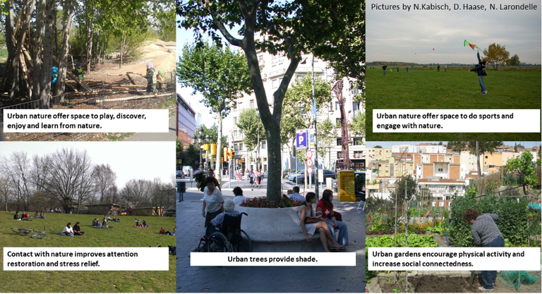 greenequityhealth projectziele