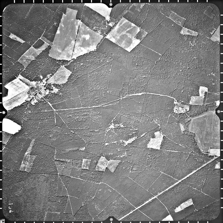 Bagower Heide (Michelsdorf - Möthlow LB134)