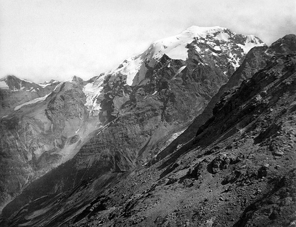 Ortler
