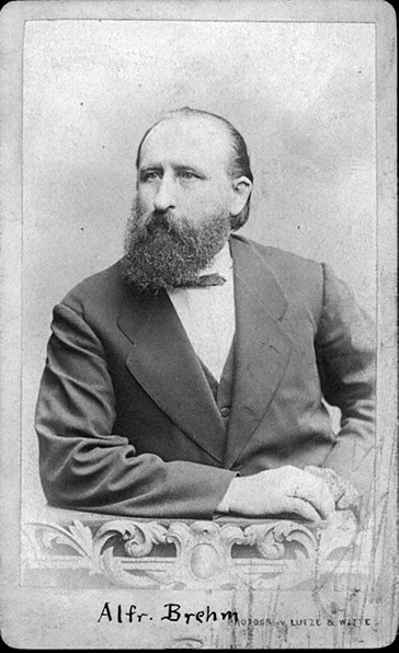 Brehm, Alfred
