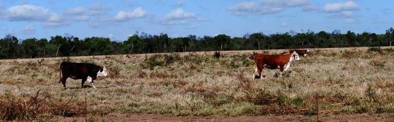 DSC_0005_stitch.jpg