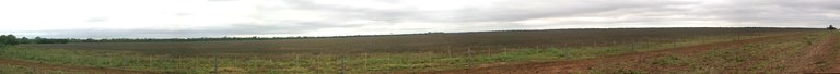 Croplands
