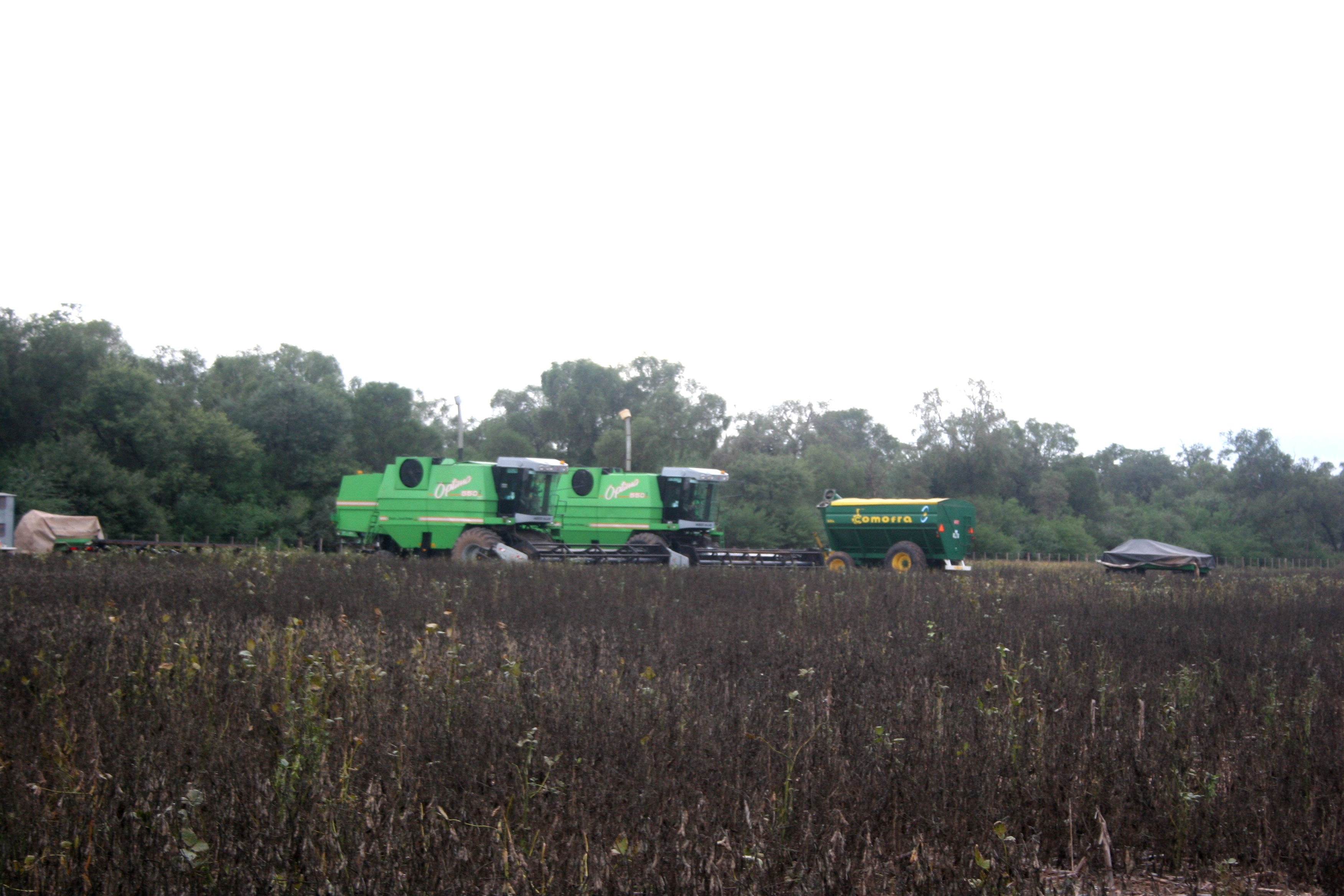 Harvest time