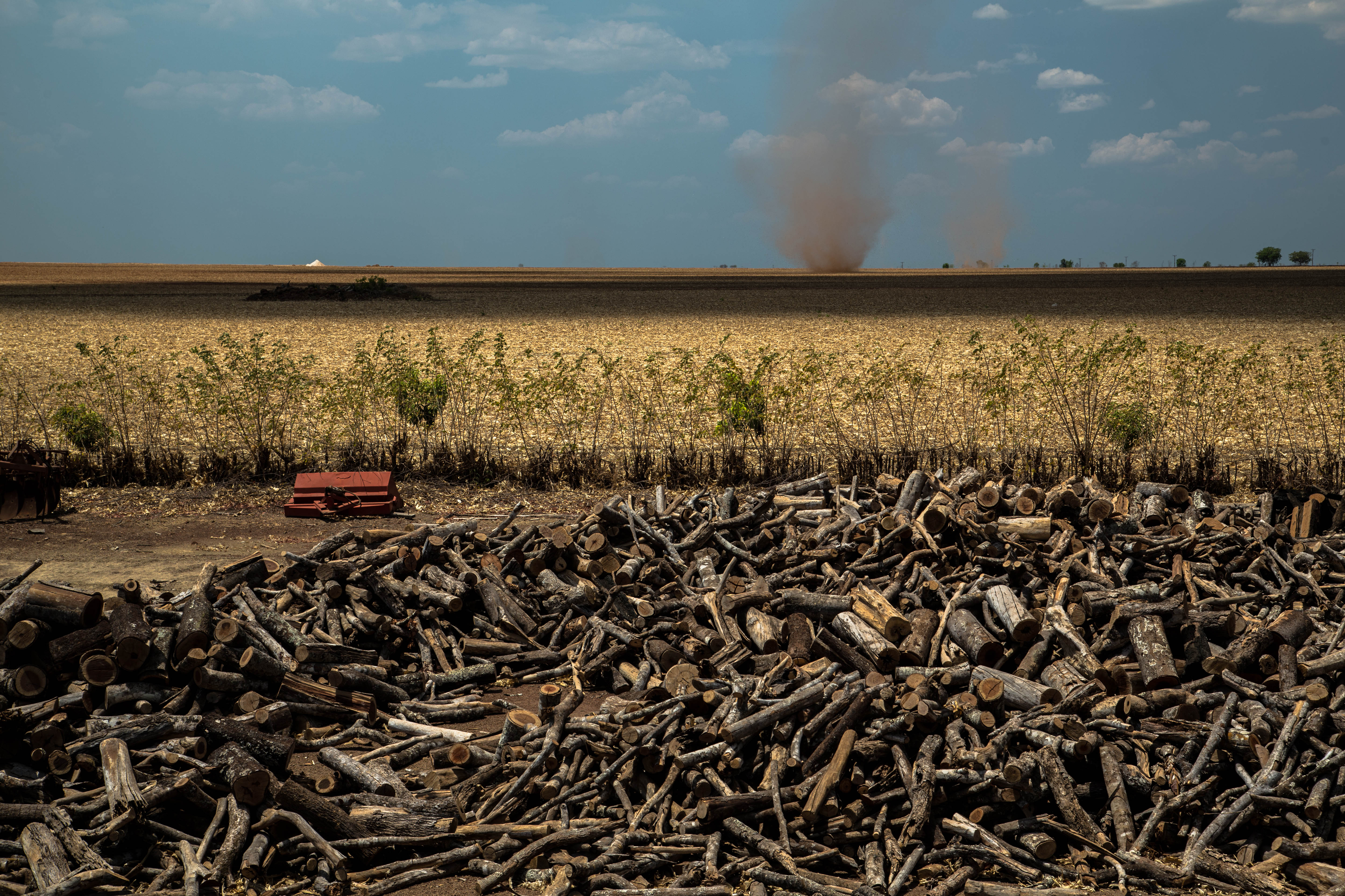 SoyEmptyField_Piaui-Brazil_credit_ThiagoForesti.jpg