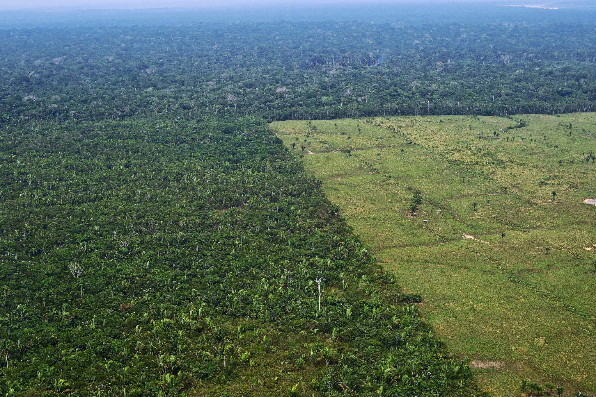Deforestation in Brazil (Photo Carl de Souza AFP) (002).jpg