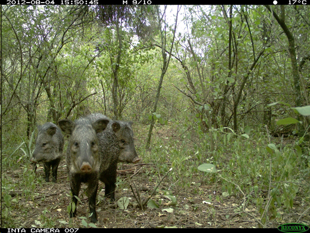 assessing-impacts-deforestation.text.image0