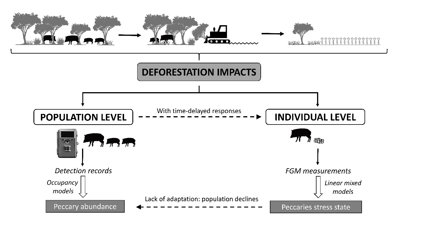 Asun chart deforestation