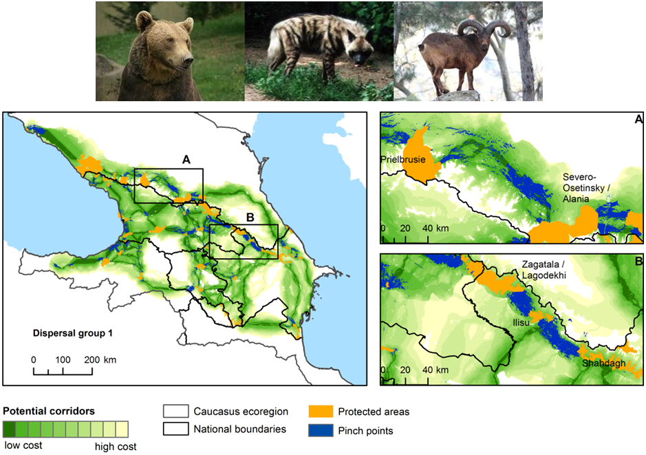 bleyhl_remote_sensing_caucasus.png