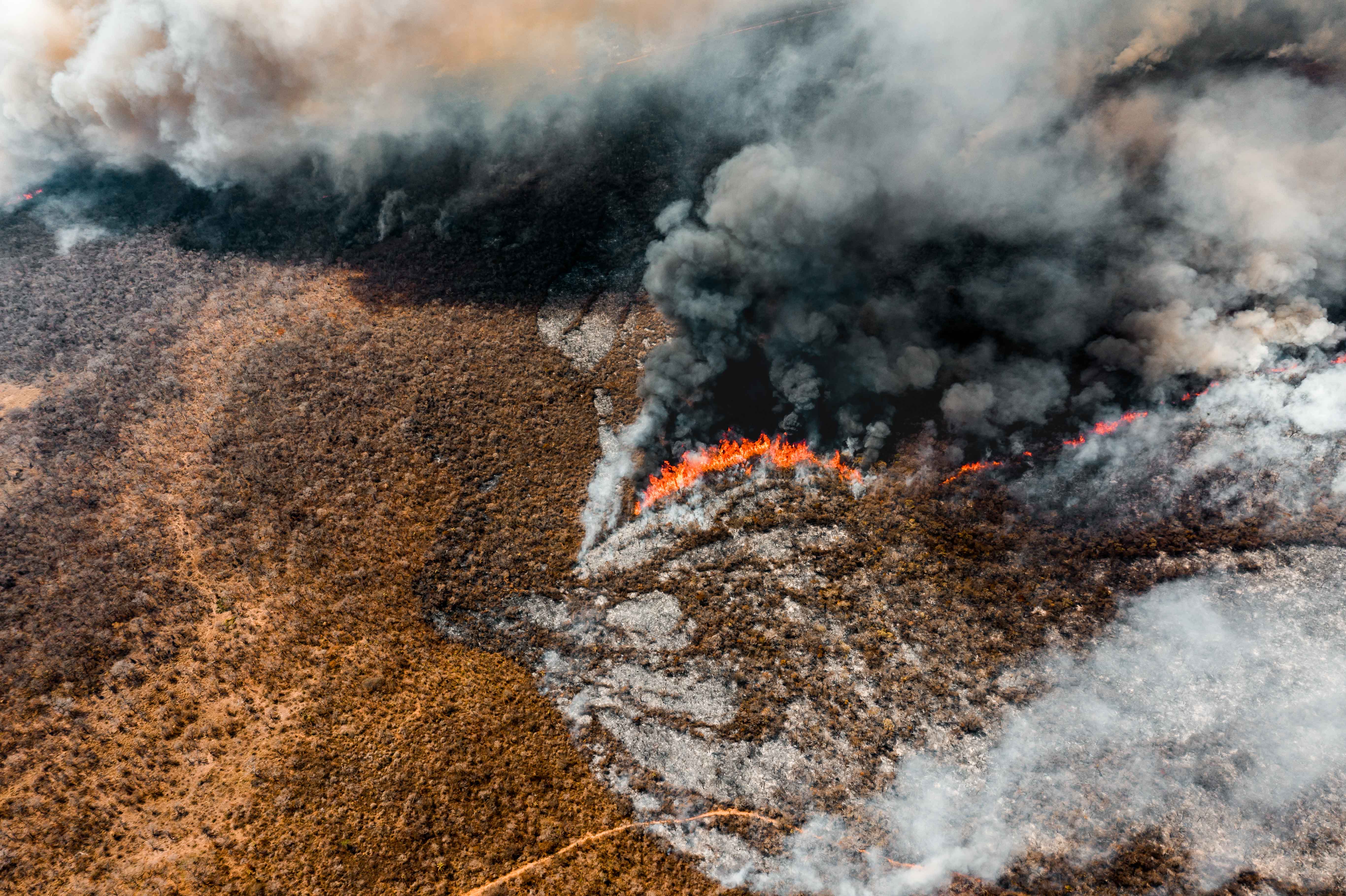 Alfredo_bolivia_fire