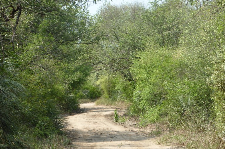Chaco_2015_ 221_TKuemmerle.JPG
