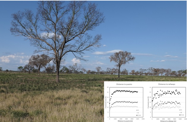 Combining multiple sensors reveals distinct land-use impacts on woody vegetation in the Chaco