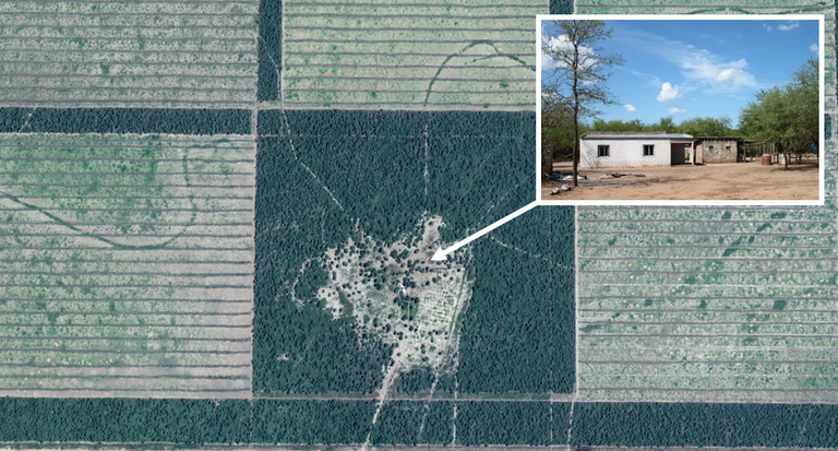 Deforestation_levers_photo