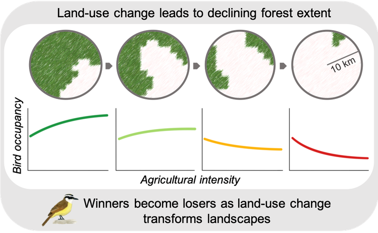 Macchi_grafic_ land use change