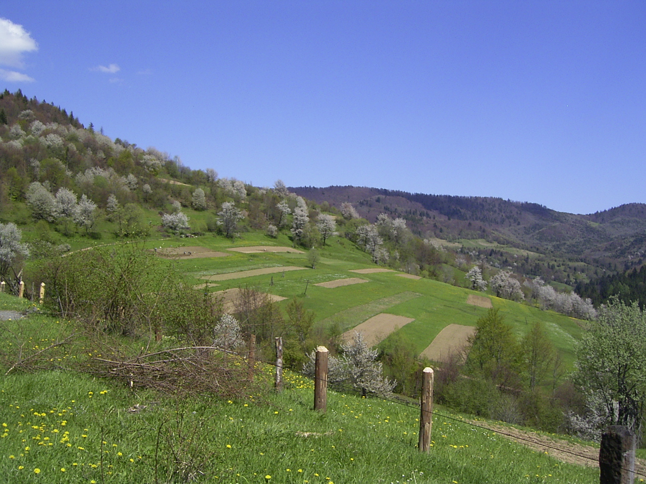 Ukrainian-Carpathians