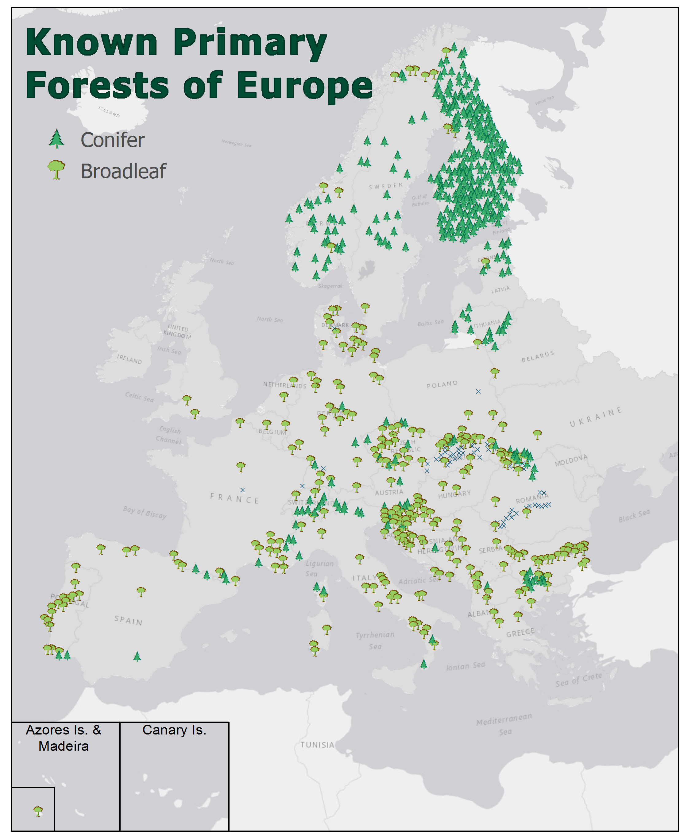 Where are Europe’s last primary forests?
