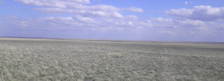 baltrak_photo_crop_main.jpeg