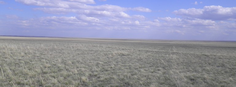 baltrak_photo_crop_main2.jpeg