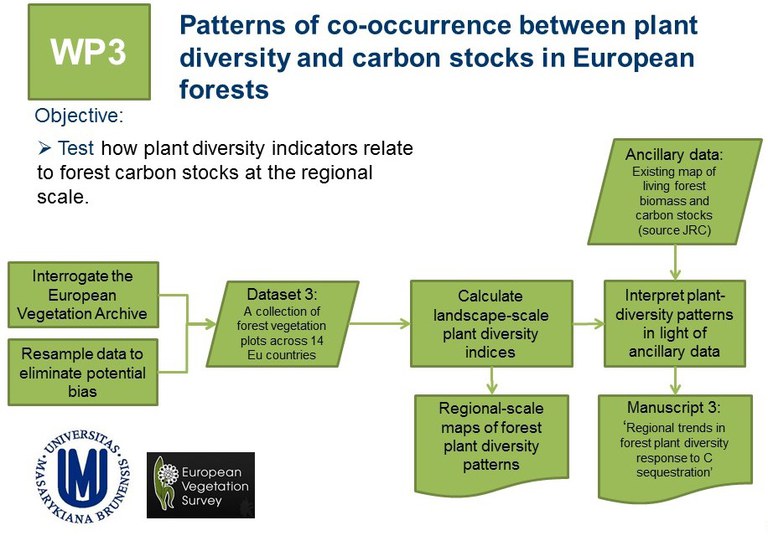 forest_wp3.jpg forest_wp3.jpg