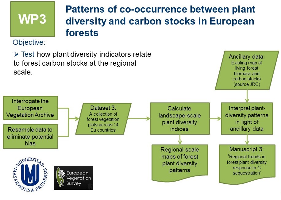 forest_wp3.jpg