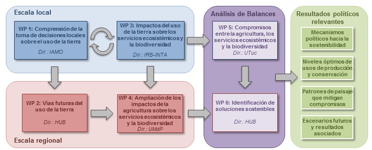 work-flowchart-sp.jpg