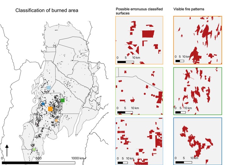 Burned areas