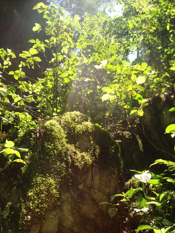 matschehroth_photo