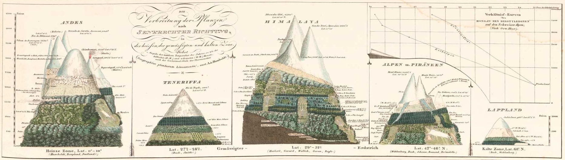 humboldt_hoehenstufen-vegetation