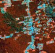 Landsat image