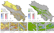 News paper Buchner Franz et al.